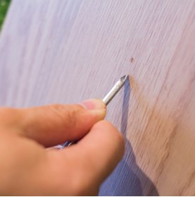 Jiangsu Winmai Flos Technology Co, .ltd.