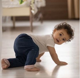 Jiangsu Winmai Flos Technology Co, .ltd.